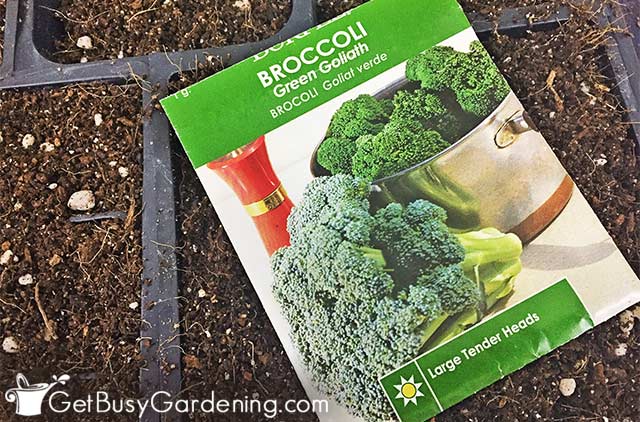 A broccoli seed packet