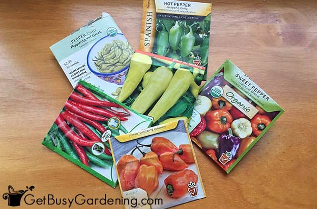 Different types of pepper seed packets