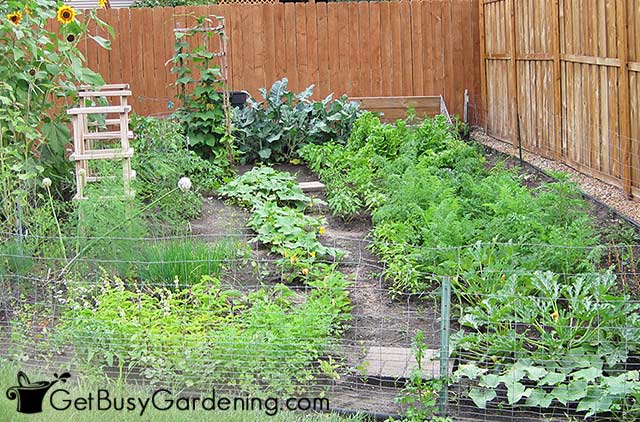 My vegetable garden back in 2009