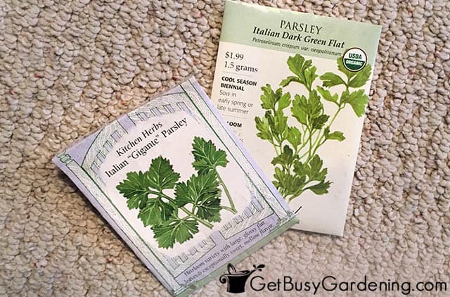 Parsley seed packets