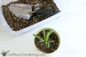 7 Easy DIY Potting Soil Recipes To Mix Your Own - Get Busy Gardening
