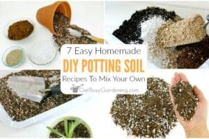 7 Easy DIY Potting Soil Recipes To Mix Your Own