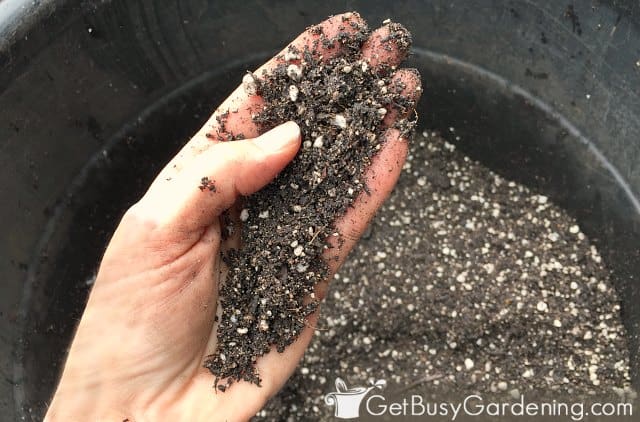 DIY potting soil ready to use