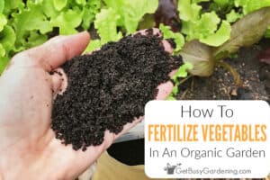 How To Fertilize A Vegetable Garden