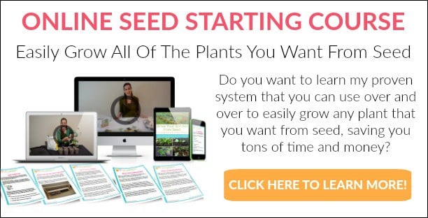 Click to learn more about the Get Busy Gardening Online Seed Staring Course.