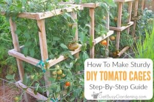 How To Make Sturdy DIY Tomato Cages