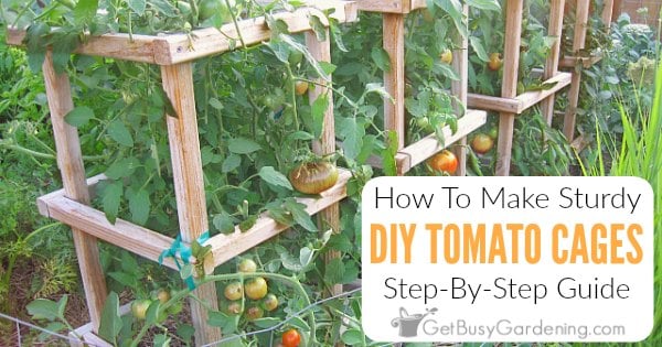 How To Make Sturdy DIY Wooden Tomato Cages - Get Busy Gardening