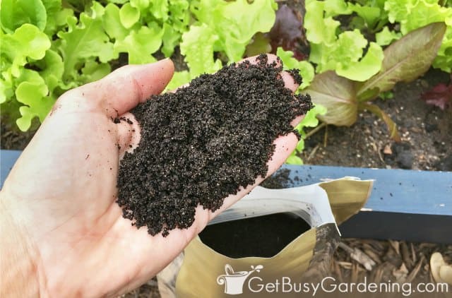 How To Fertilize A Vegetable Garden - Get Busy Gardening