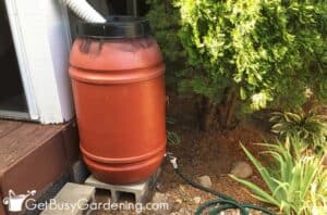 7 Awesome Benefits Of Rain Barrels - Get Busy Gardening