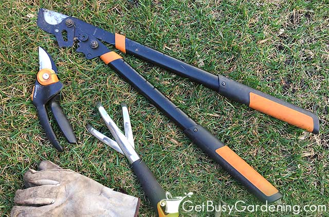 My rose pruning tools