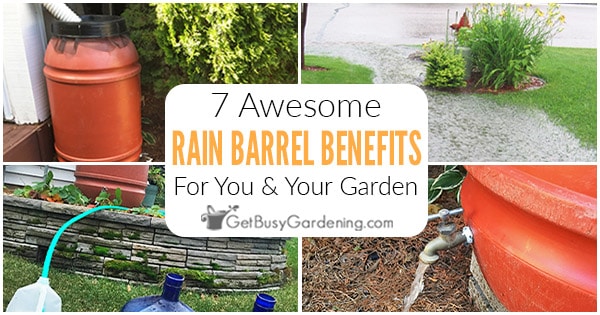 7 Awesome Benefits Of Rain Barrels - Get Busy Gardening