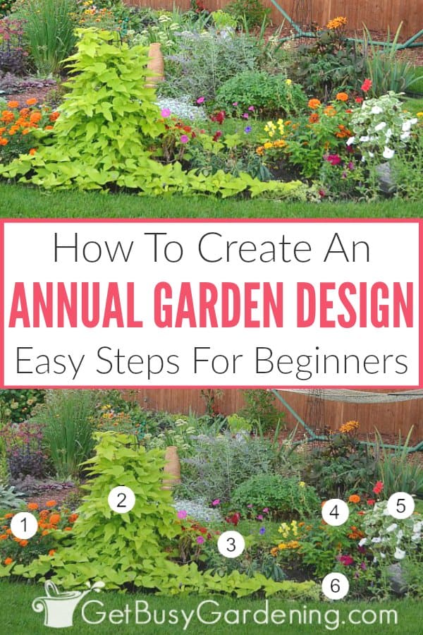 How To Create An Annual Garden Design: Easy Steps For Beginners