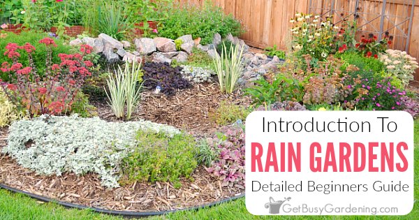 Rain Garden Surrounds