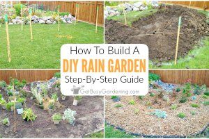 How To Build A Rain Garden Step-By-Step