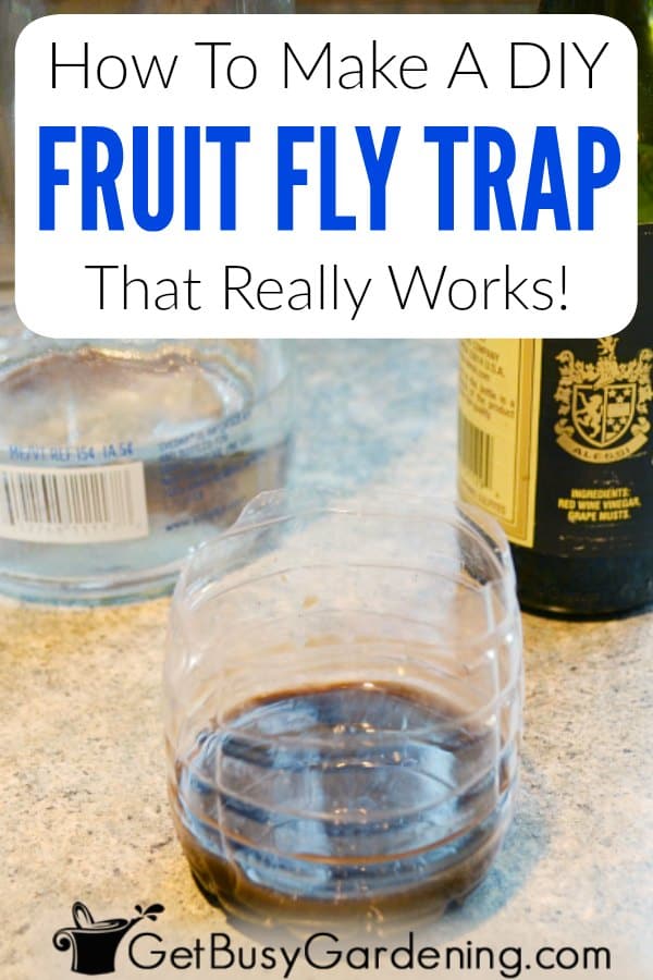 How To Make A DIY Fruit Fly Trap That Really Works!