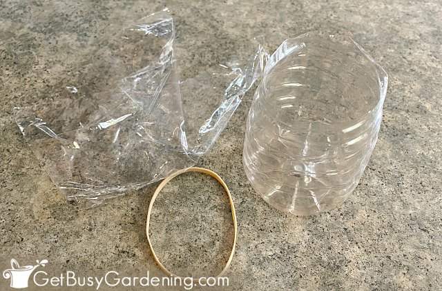 How To Make A Homemade DIY Fruit Fly Trap - Get Busy Gardening