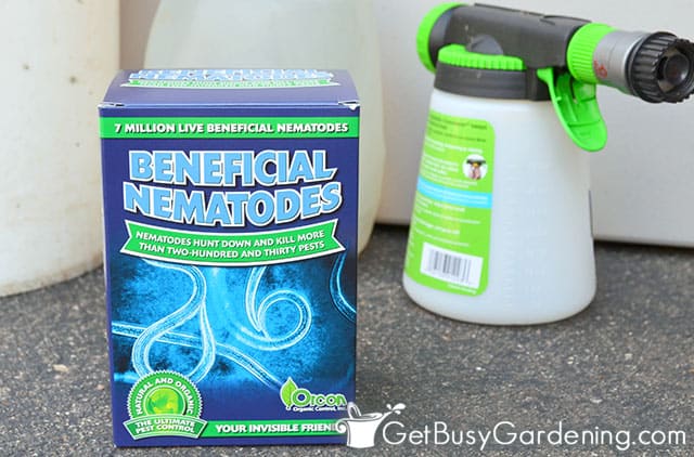 Box of beneficial nematodes and supplies for applying
