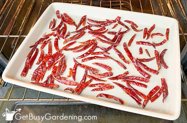 Oven drying cayenne peppers