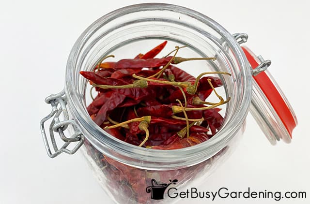 Storing dried cayenne peppers in a jar