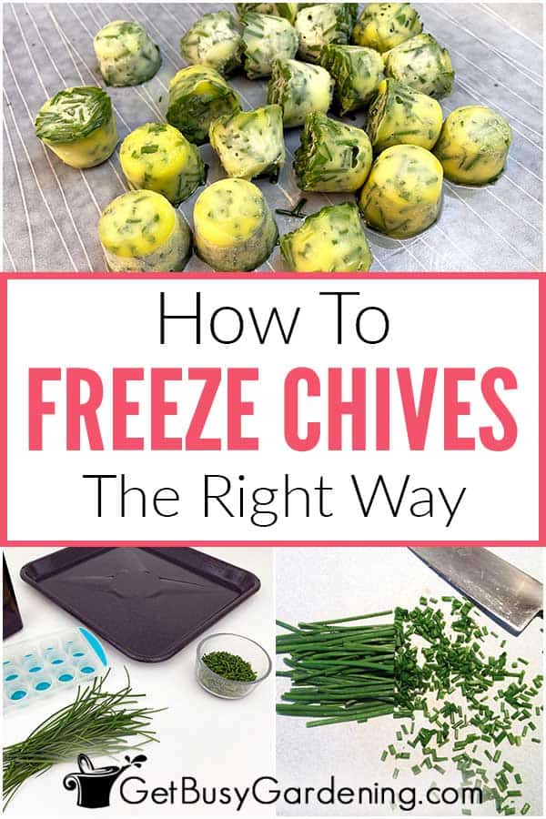 How To Freeze Chives The Right Way