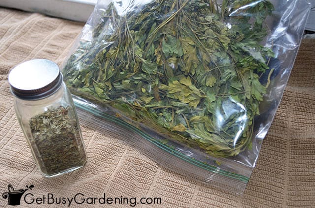 Keeping dried parsley in a spice jar and a baggie