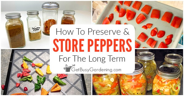 How to Store Peppers