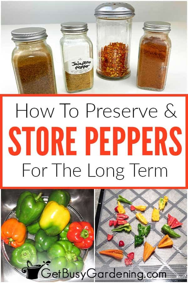 How To Preserve & Store Peppers For The Long Term
