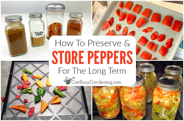 How To Preserve & Store Peppers Long Term
