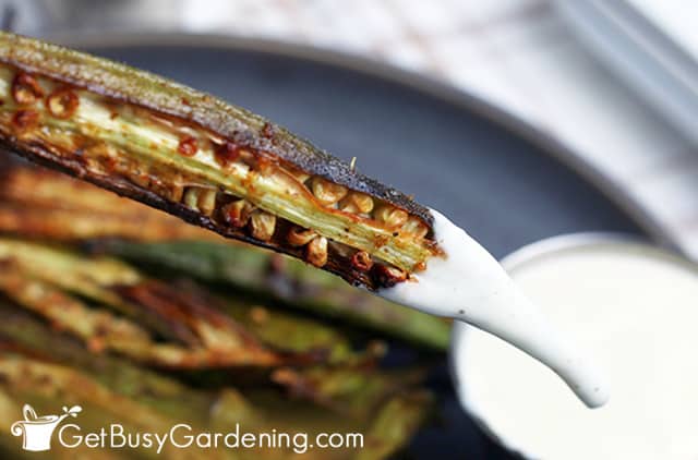 Dipping okra french fries in sauce
