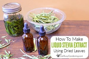 How To Make Homemade DIY Liquid Stevia Extract