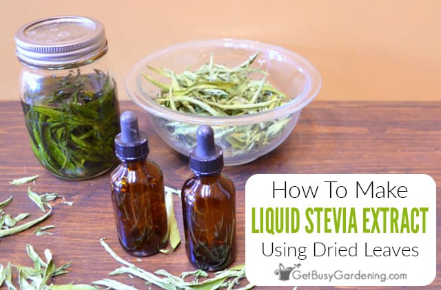 How To Make Homemade DIY Liquid Stevia Extract