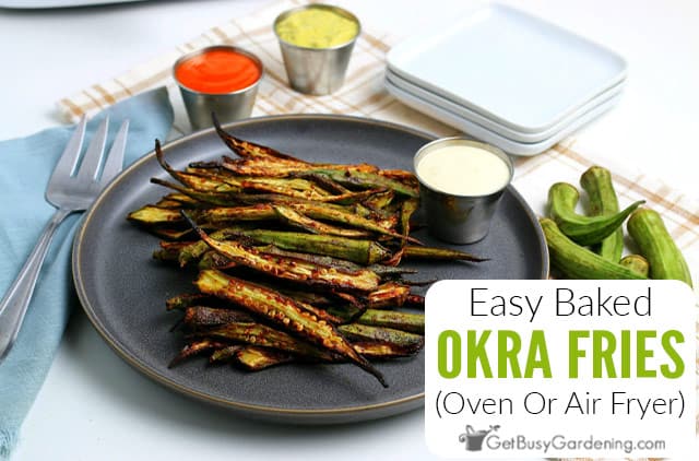 Easy Baked Okra Fries Recipe (Oven Or Air-Fryer)