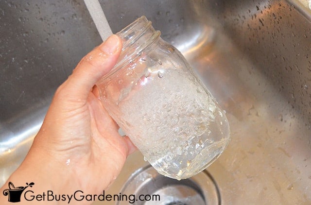 Rinsing canning jar in hot water