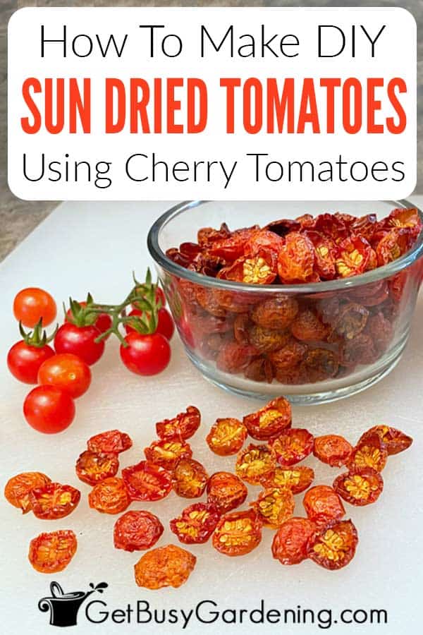 How To Make DIY Sun Dried Tomatoes Using Cherry Tomatoes