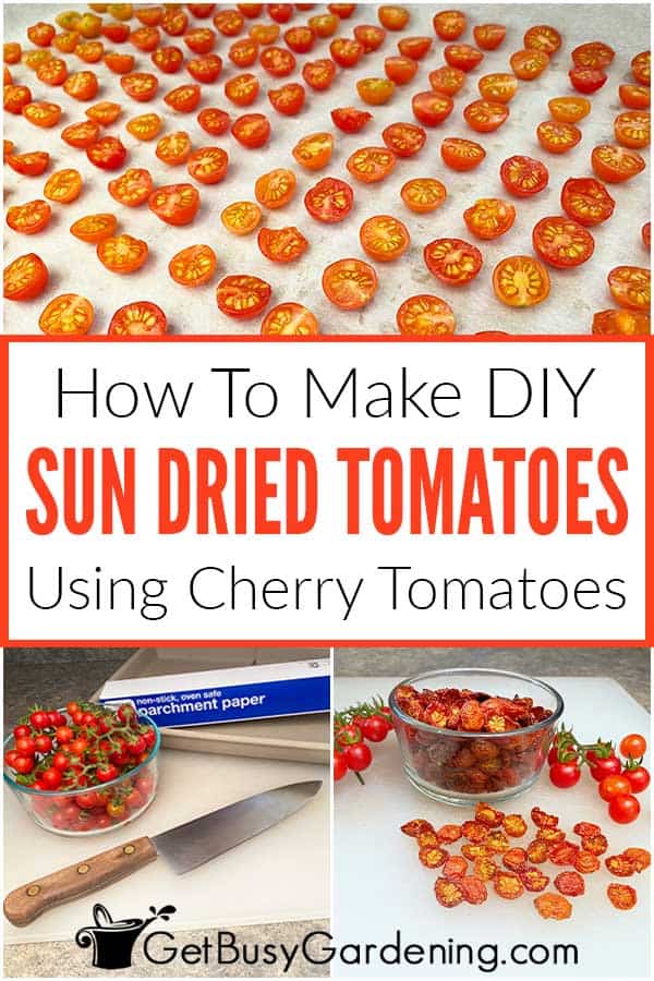 How To Make DIY Sun Dried Tomatoes Using Cherry Tomatoes