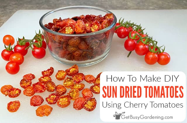 Sun Dried Cherry Tomatoes: An Easy Homemade Recipe - Get Busy