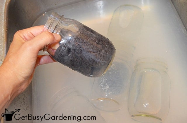 Washing mason jars in soapy water