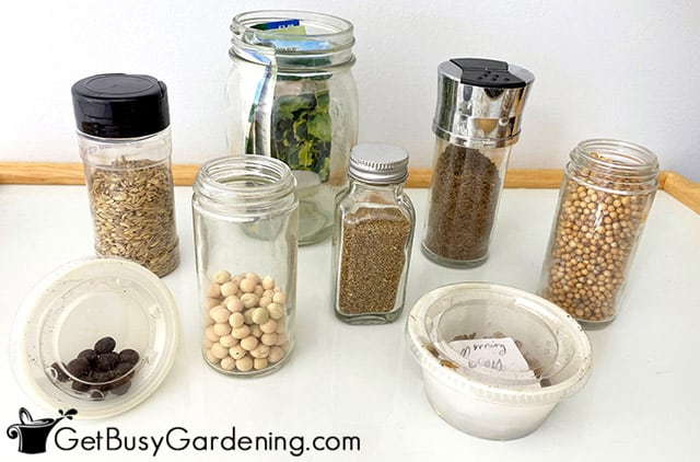 Options for seed storage containers