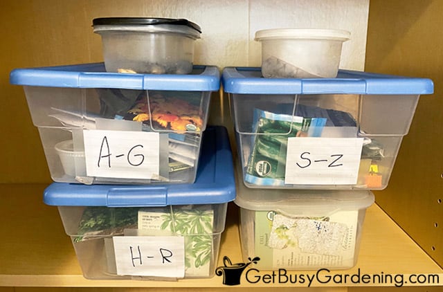 Seeds organized in storage bins