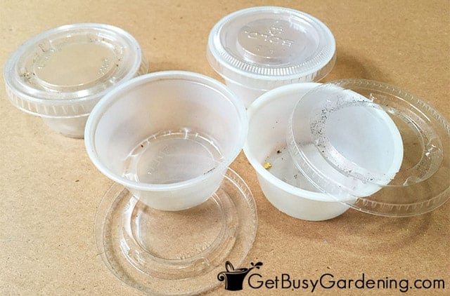 Small plastic containers for keeping seeds