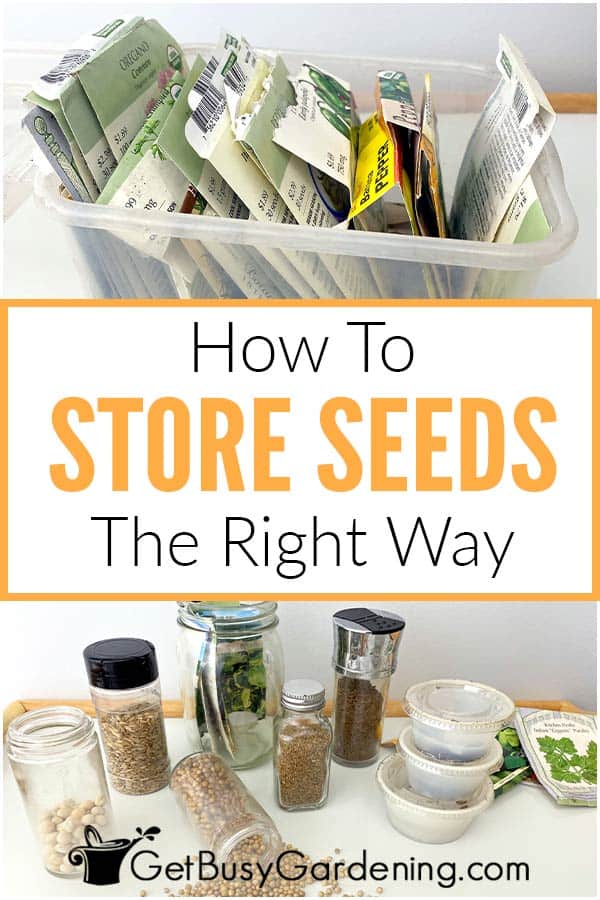 How To Store Seeds The Right Way