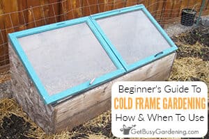 Beginner's Guide To Cold Frame Gardening