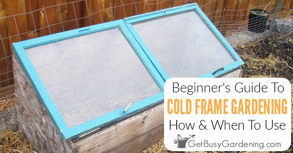 Beginner's Guide To Cold Frame Gardening: How, Why & When To Use