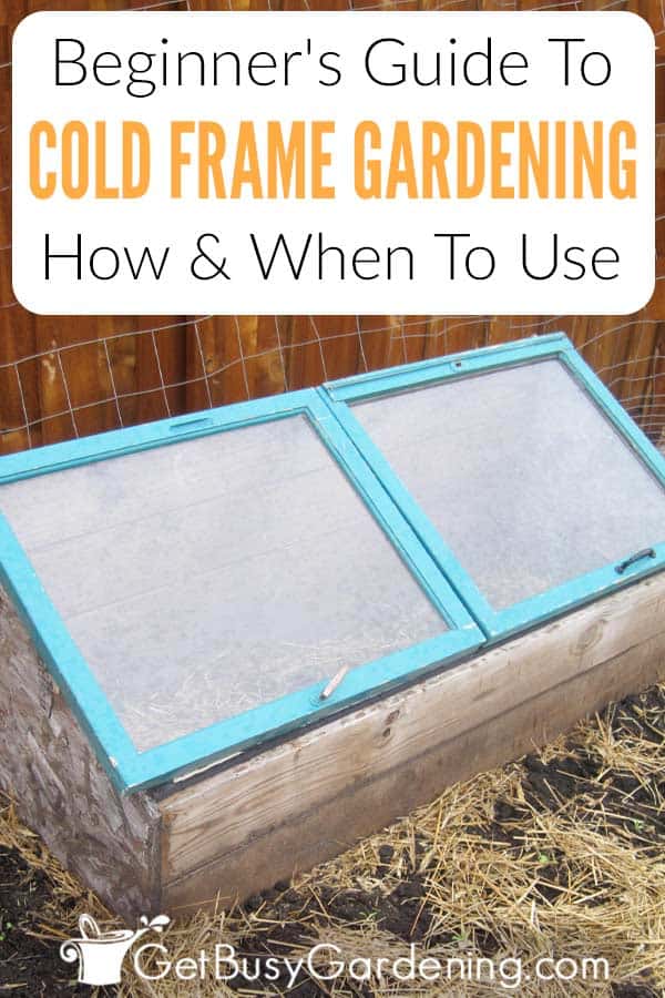 Beginner's Guide To Cold Frame Gardening How & When To Use