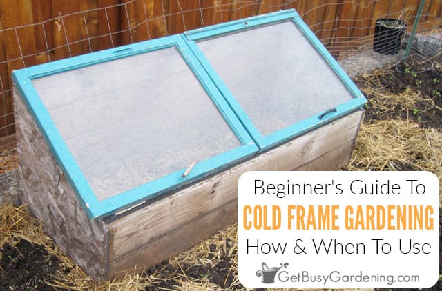 Beginner's Guide To Cold Frame Gardening