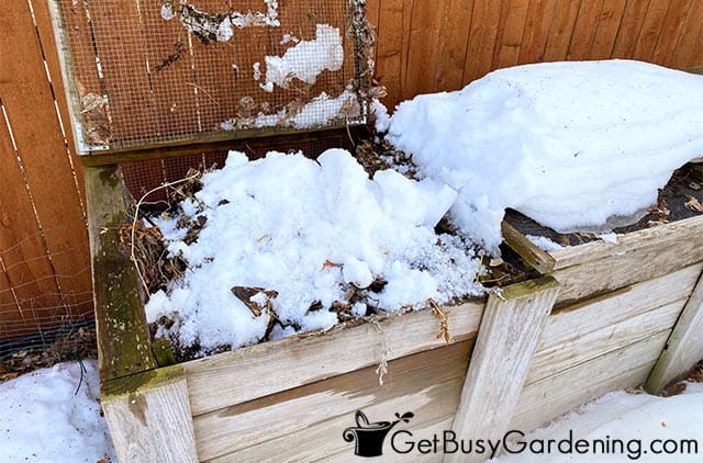 Covering new compost ingredients with snow
