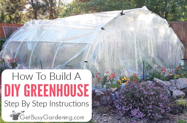 How To Build A Diy Greenhouse Get Busy Gardening