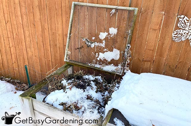 Leaving the compost bin open during winter
