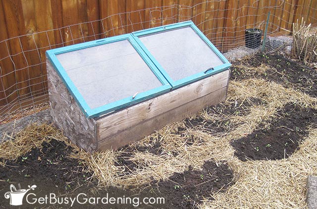 My cold frame in the garden