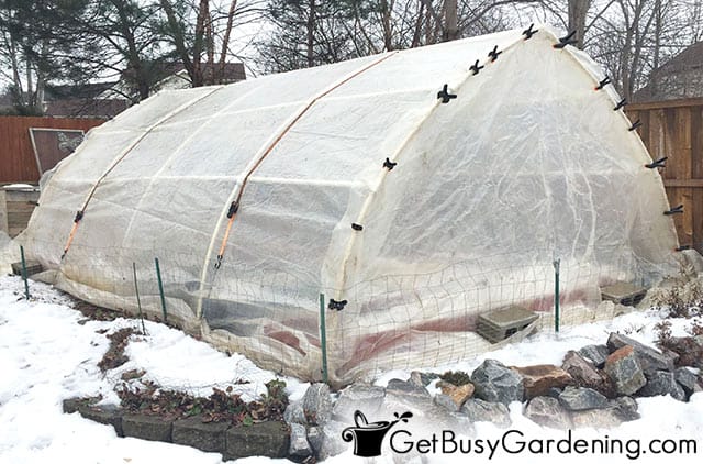 My homemade greenhouse in winter